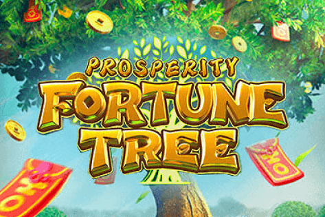 Tree of Fortune, dicas para apostas, grandes vitórias, jogos de azar, estratégias de apostas.